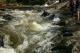 Thumbs/tn_Img_7635.jpg
