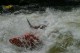 Thumbs/tn_Img_6975.jpg