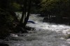 Thumbs/tn_Img_4531.jpg