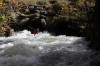Thumbs/tn_Img_5003.jpg