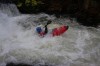 Thumbs/tn_Img_5965.jpg