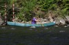Thumbs/tn_Img_1938.jpg