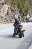 Thumbs/tn_Img_6840t.jpg