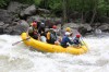 Thumbs/tn_Img_9463.jpg
