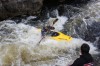Thumbs/tn_Img_5310.jpg