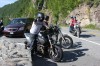 Thumbs/tn_Img_9864.jpg