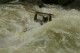 Thumbs/tn_Img_6381.jpg